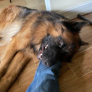 Meet your Posher, Mai-chi